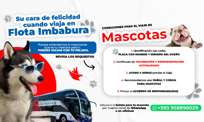 Viajes mascotas flota imbabura